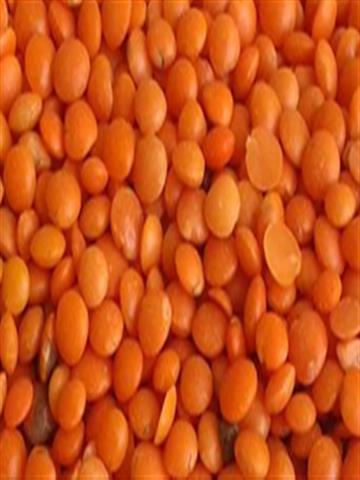Masoor Dal - (Red Lentil)